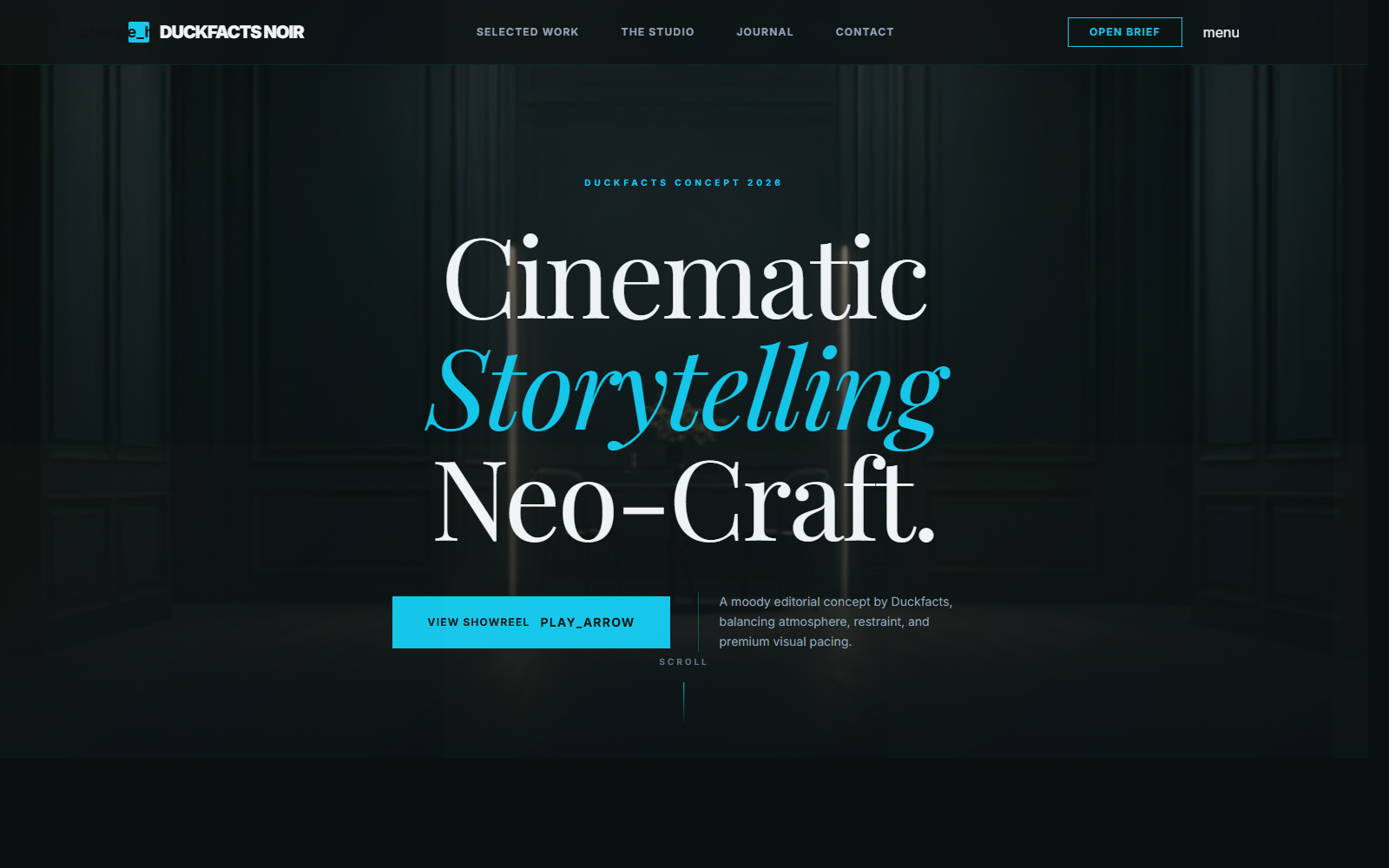 Noir Frames website concept