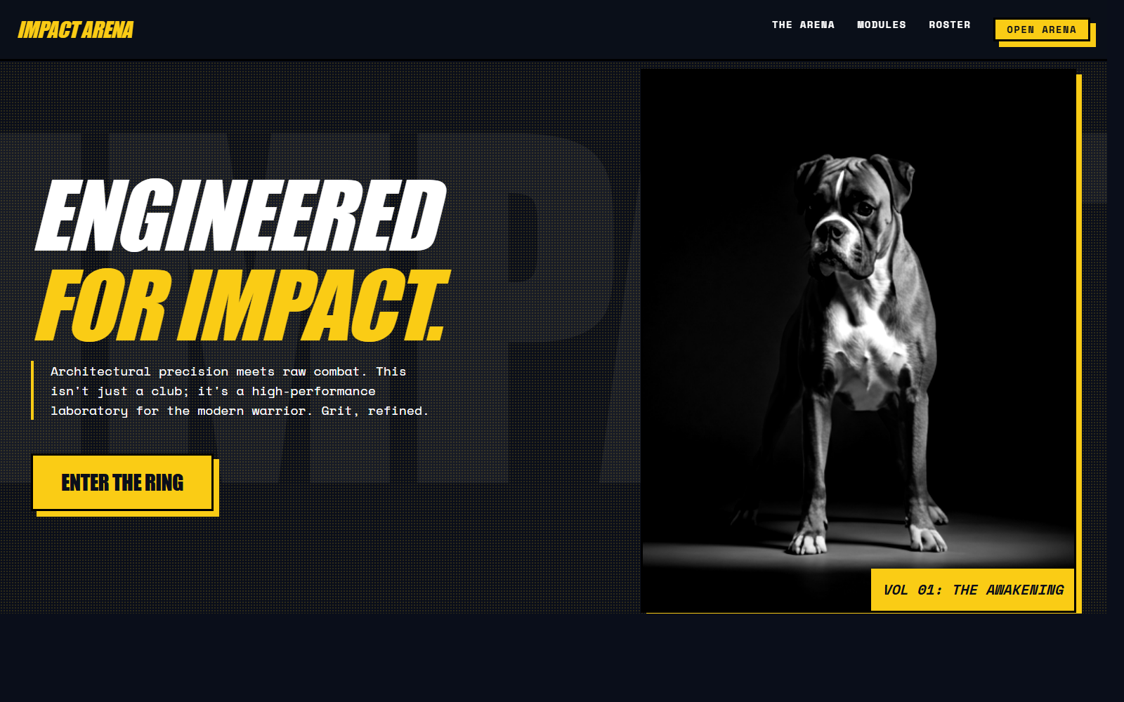 Impact Arena website concept